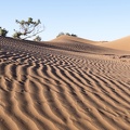 Sahara Maroc.jpg