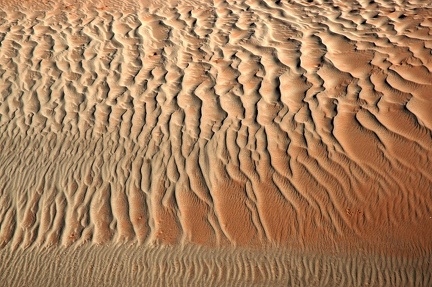Namib  Namibie  