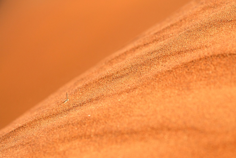 Namib  Namibie 