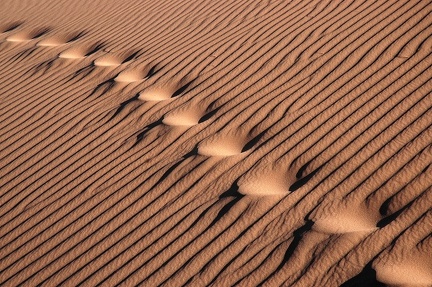 Namib  Namibie   