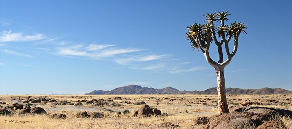 Kalahari Namibie