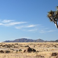 Kalahari Namibie