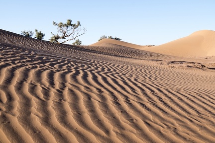 Sahara Maroc