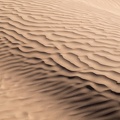 Sahara  Maroc .jpg