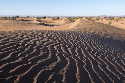 Sahara Maroc 