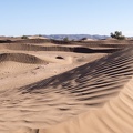 Sahara Maroc   .jpg