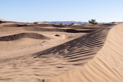 Sahara Maroc   