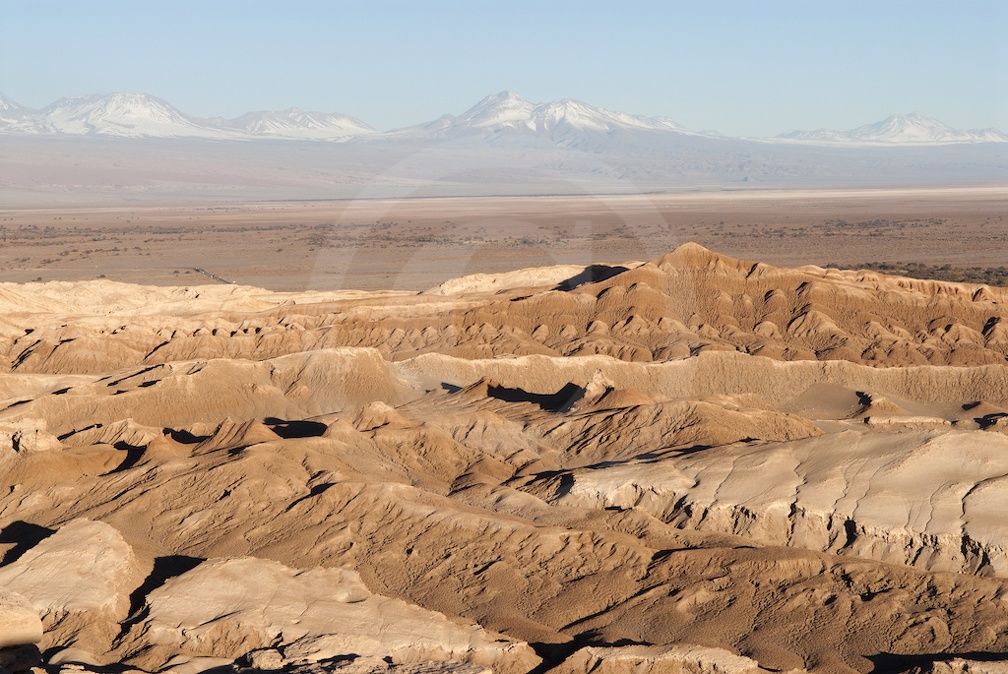 Atacama Chili
