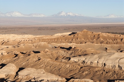 Atacama Chili