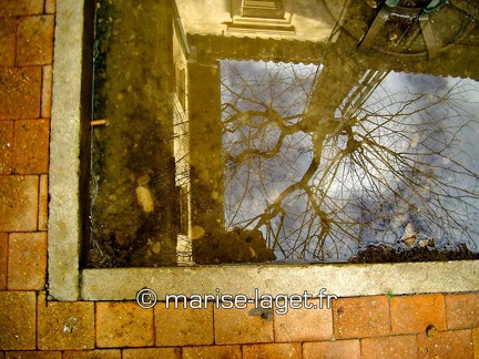 1 reflet4-