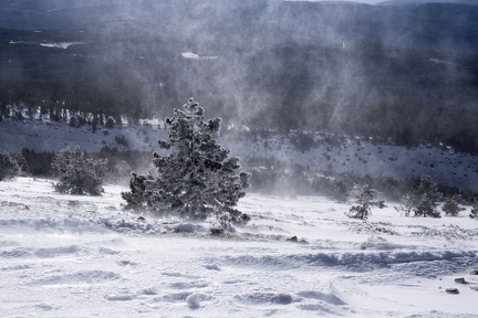 Mont Ventoux