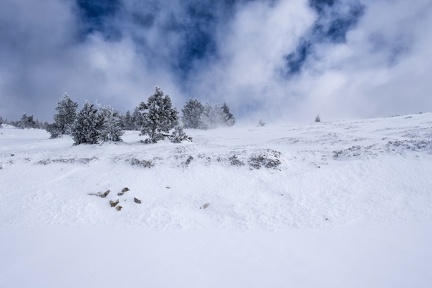 Mont Ventoux