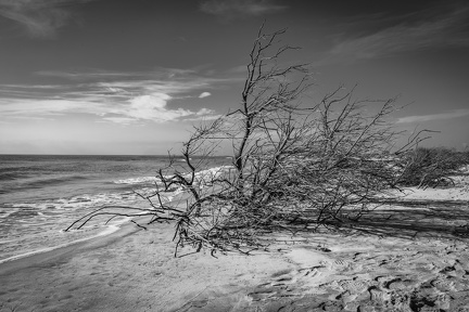 02-2021 plages Grau du roi 4057 BW-4057