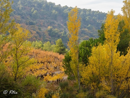 Au pied des dentelles