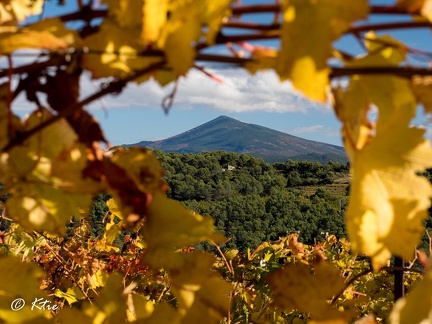 Ventoux dans son medaillon