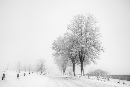 Un hiver en Aubrac