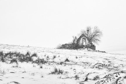 Un hiver en Aubrac