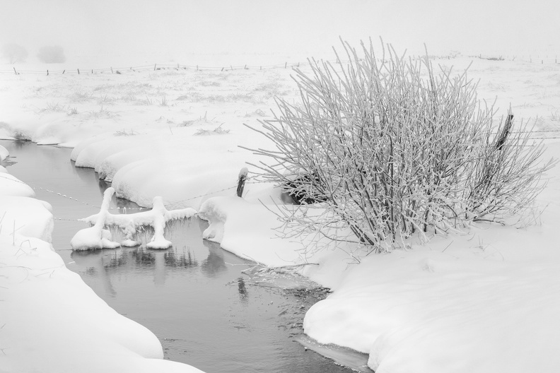 Un hiver en Aubrac