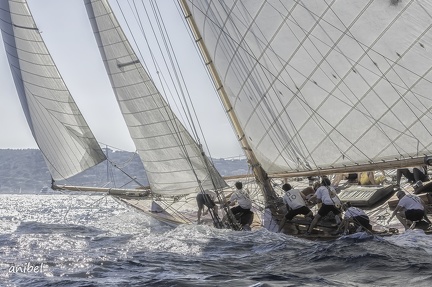 2436 les centenaires à Saint Tropez 5