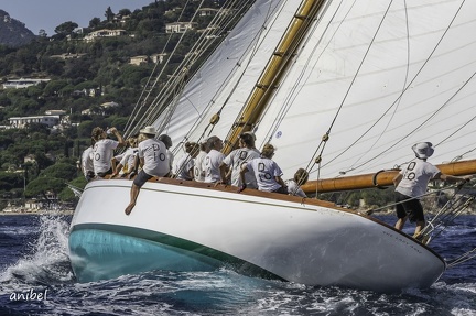 2428 les centenaires à Saint Tropez 4