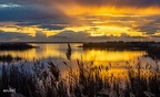 Camargue
