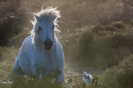 08102019-08102019-IMGL8627