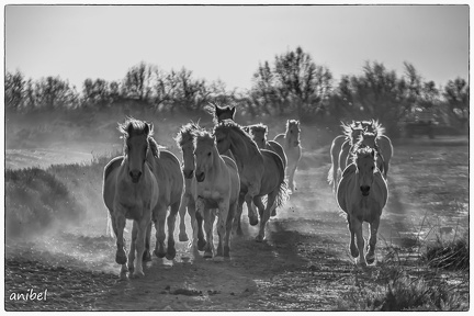 12022019-6J8A2163-Modifier