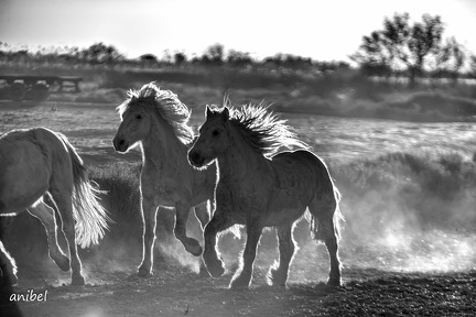 12022019-6J8A2173-Modifier