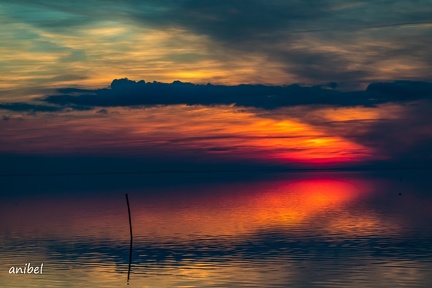 31122019-31122019-IMGL5101