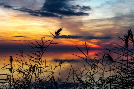 31122019-31122019-IMGL5114