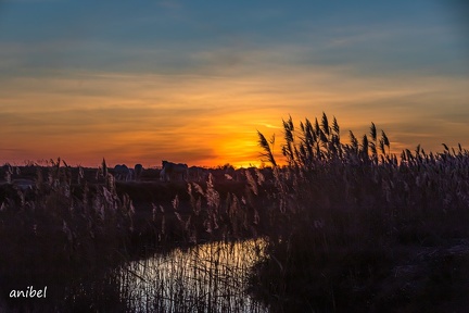 28122019-28122019-IMGL4509