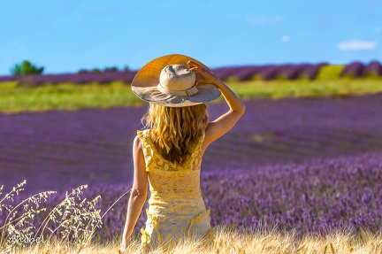 02072017-02072017-sans titre-7160