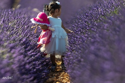 27062020-IMGL1820.tif valensole