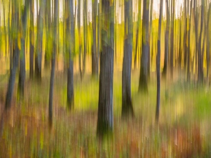 prise de vue sans titre-105201