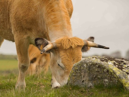 Catherine-080517-065-104