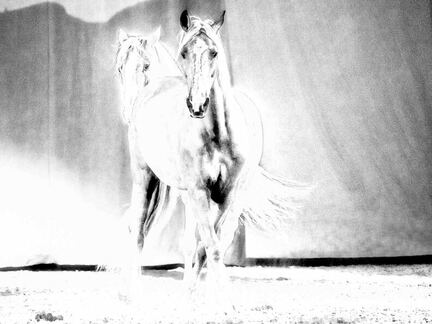 Catherine Vernay-1030674