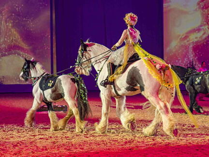 Catherine Vernay-1030514