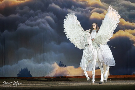 DSCF6306-Avec accentuation-Bruit-1280-1281-1286