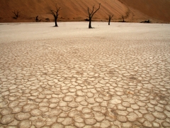 Deadvlei pan 3 x.jpg