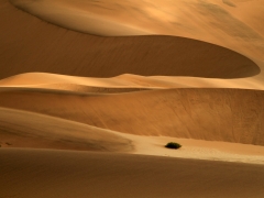Dunes 1.jpg