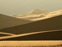 Dunes 27 x.jpg