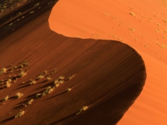 Dunes 45 x.jpg